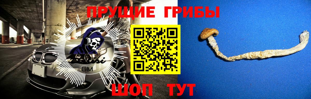 Нижнеудинск  Галлюциногенные грибы ЛСД  Вход с VPN 